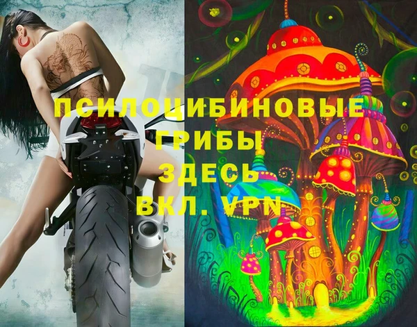 спиды Дмитров