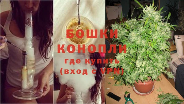 не бодяженный Дмитровск