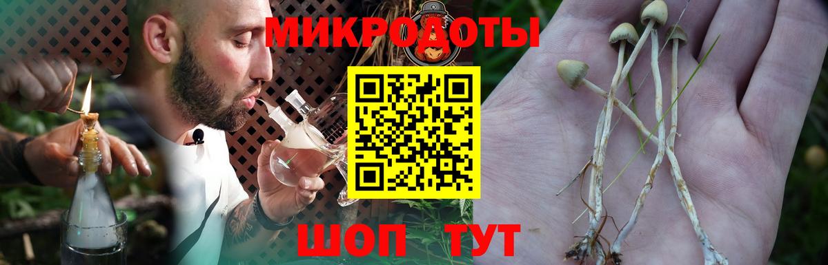 Искитим  Галлюциногенные грибы Magic Shrooms  Вход с VPN 